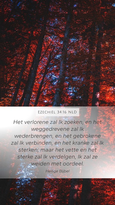 Ezechiël 34:16 NLD Bible Verse Image
