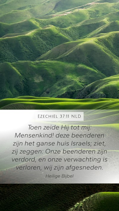 Ezechiël 37:11 NLD Bible Verse Image