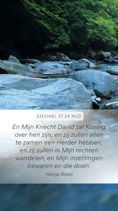 Ezechiël 37:24 NLD Bible Verse Image