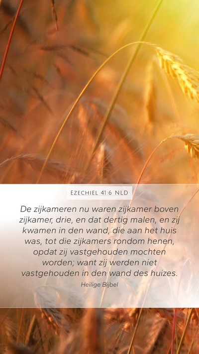 Ezechiël 41:6 NLD Bible Verse Image