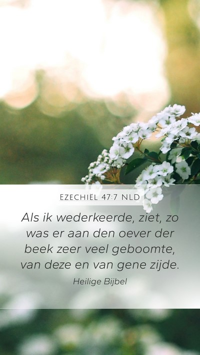 Ezechiël 47:7 NLD Bible Verse Image