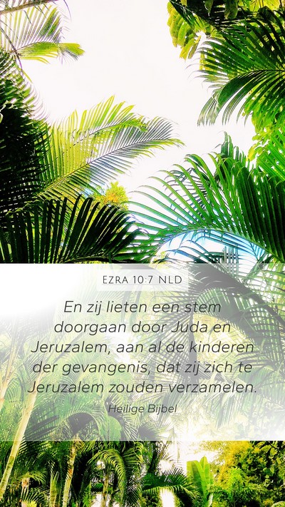 Ezra 10:7 NLD Bible Verse Image