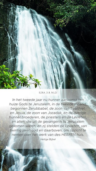 Ezra 3:8 NLD Bible Verse Image