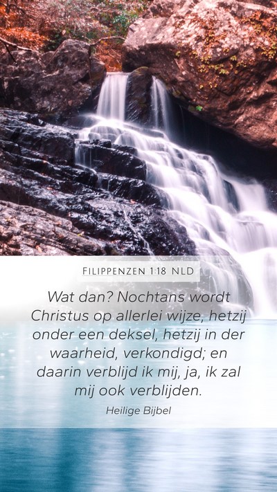 Filippenzen 1:18 NLD Bible Verse Image