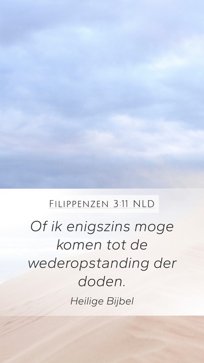Filippenzen 3:11 NLD Bible Verse Image