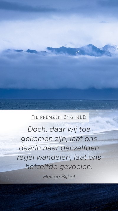 Filippenzen 3:16 NLD Bible Verse Image