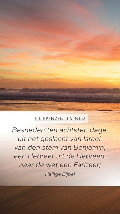 Filippenzen 3:5 NLD Bible Verse Image