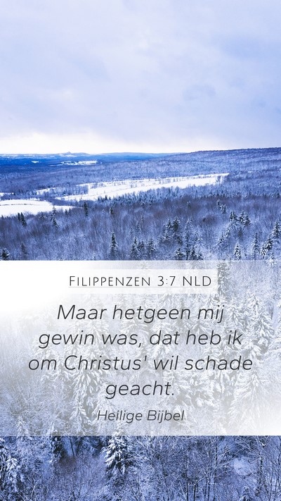 Filippenzen 3:7 NLD Bible Verse Image