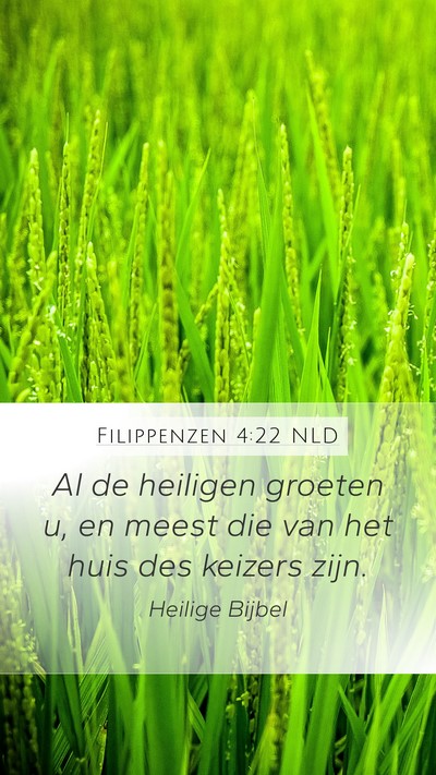 Filippenzen 4:22 NLD Bible Verse Image