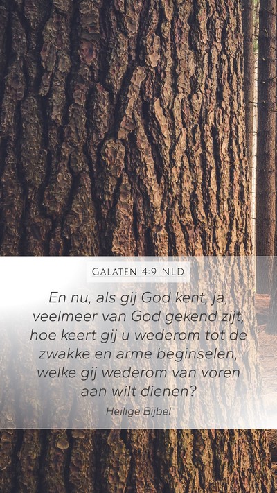 Galaten 4:9 NLD Bible Verse Image