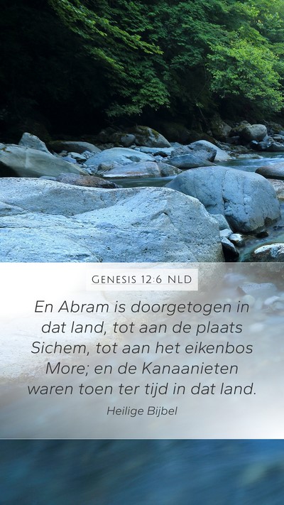 Genesis 12:6 NLD Bible Verse Image