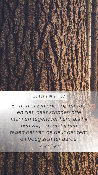 Genesis 18:2 NLD Bible Verse Image