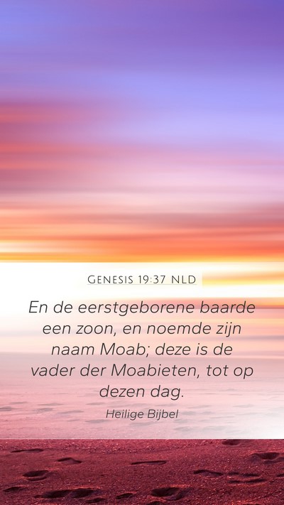 Genesis 19:37 NLD Bible Verse Image