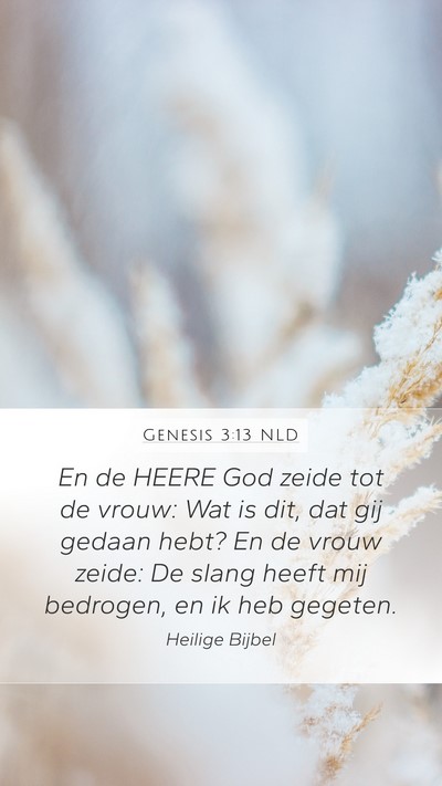 Genesis 3:13 NLD Bible Verse Image