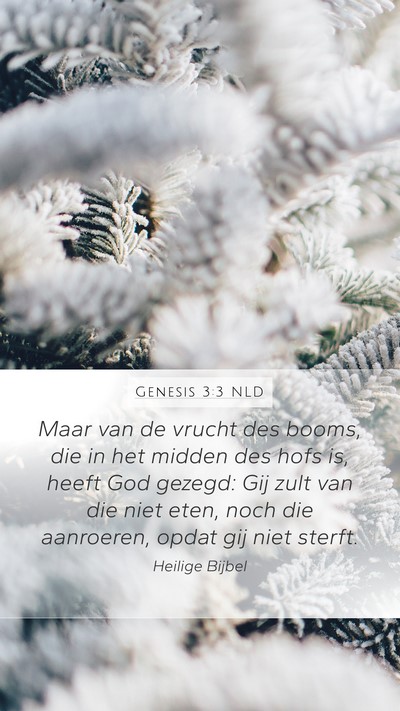 Genesis 3:3 NLD Mobile Phone Wallpaper - Maar van de vrucht des booms, die in het midden - Mobile Bible Verse Wallpaper