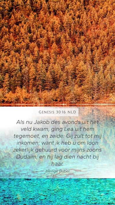 Genesis 30:16 NLD Mobile Phone Wallpaper - Als nu Jakob des avonds uit het veld kwam, ging - Mobile Bible Verse Wallpaper