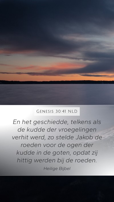 Genesis 30:41 NLD Mobile Phone Wallpaper - En het geschiedde, telkens als de kudde der - Mobile Bible Verse Wallpaper