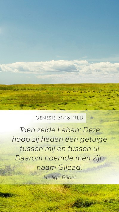 Genesis 31:48 NLD Bible Verse Image