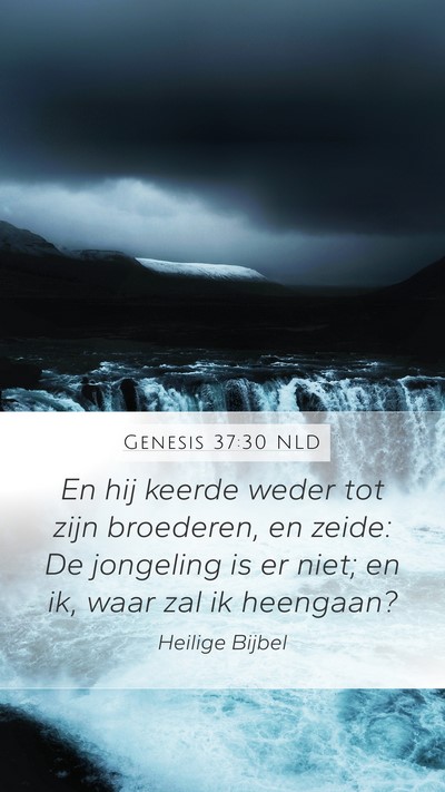 Genesis 37:30 NLD Bible Verse Image