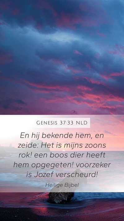 Genesis 37:33 NLD Bible Verse Image
