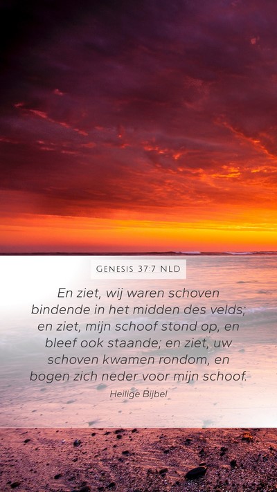 Genesis 37:7 NLD Bible Verse Image