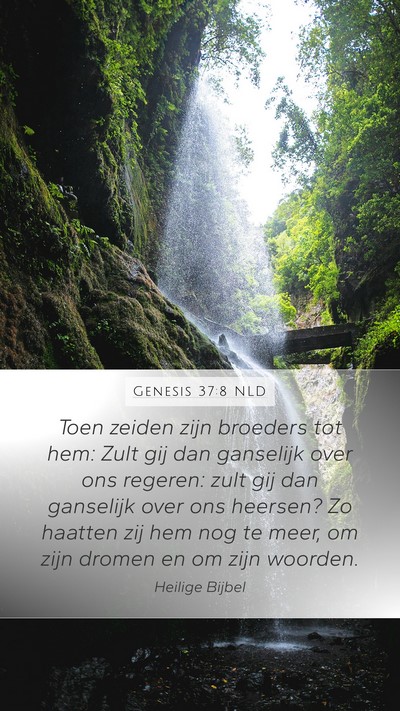 Genesis 37:8 NLD Bible Verse Image