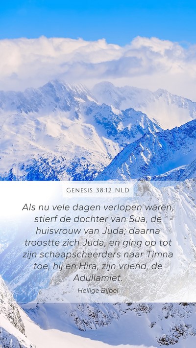 Genesis 38:12 NLD Bible Verse Image
