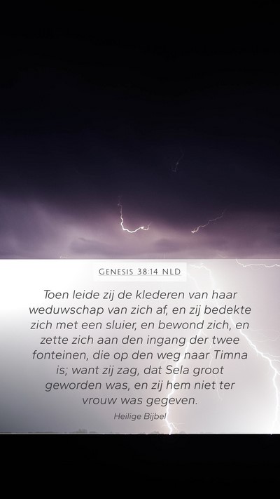 Genesis 38:14 NLD Bible Verse Image