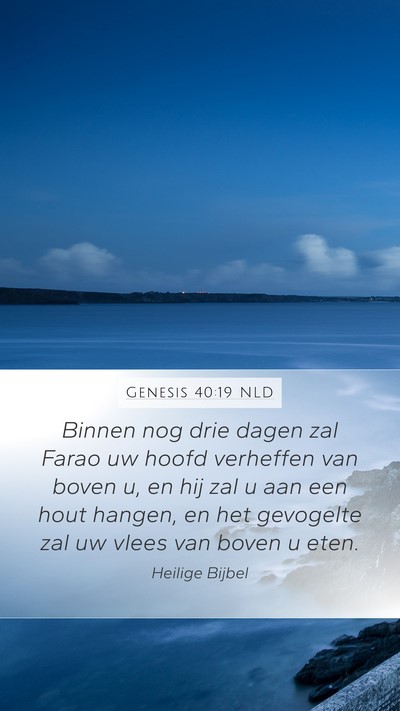 Genesis 40:19 NLD Bible Verse Image