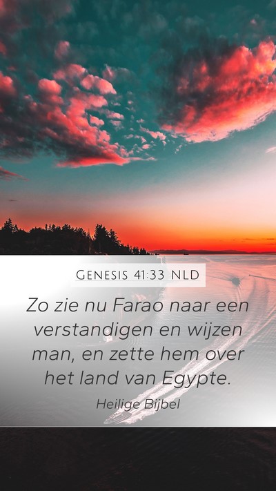 Genesis 41:33 NLD Bible Verse Image