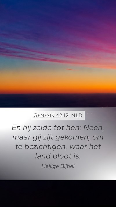 Genesis 42:12 NLD Bible Verse Image