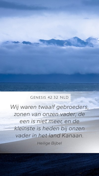 Genesis 42:32 NLD Bible Verse Image