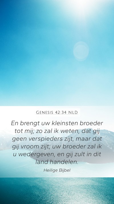 Genesis 42:34 NLD Bible Verse Image