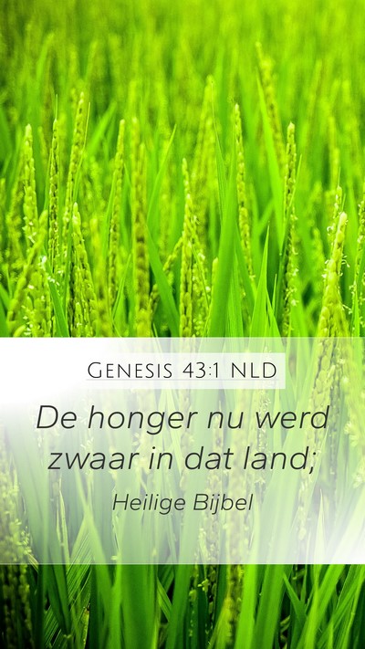 Genesis 43:1 NLD Bible Verse Image