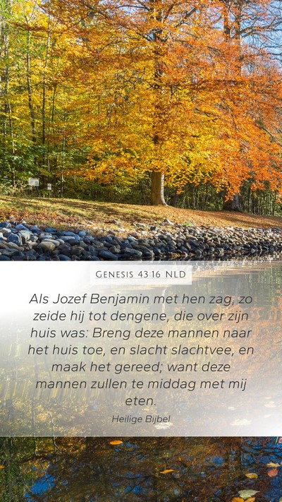 Genesis 43:16 NLD Bible Verse Image