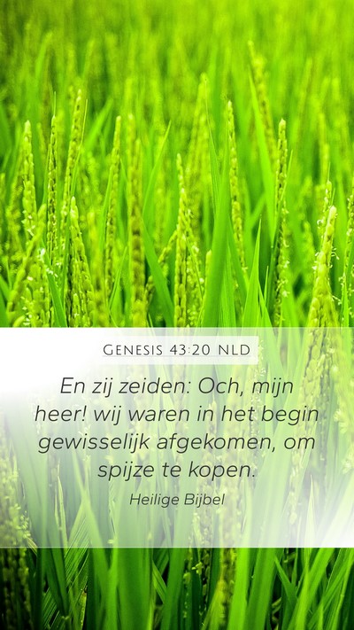 Genesis 43:20 NLD Mobile Phone Wallpaper - En zij zeiden: Och, mijn heer! wij waren in het - Mobile Bible Verse Wallpaper