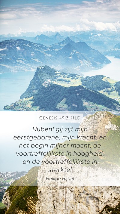 Genesis 49:3 NLD Bible Verse Image