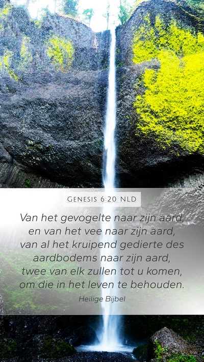 Genesis 6:20 NLD Bible Verse Image