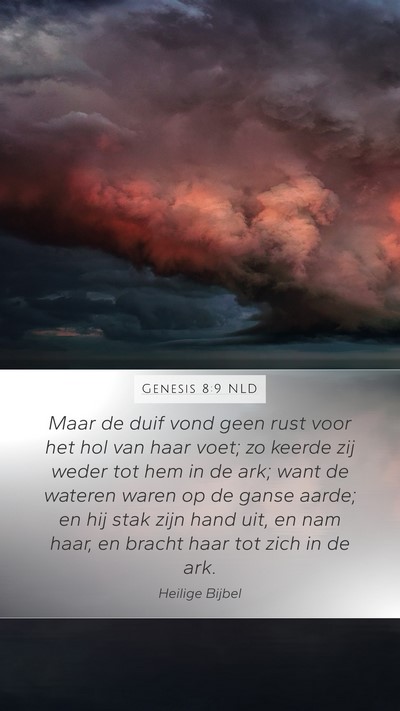 Genesis 8:9 NLD Bible Verse Image