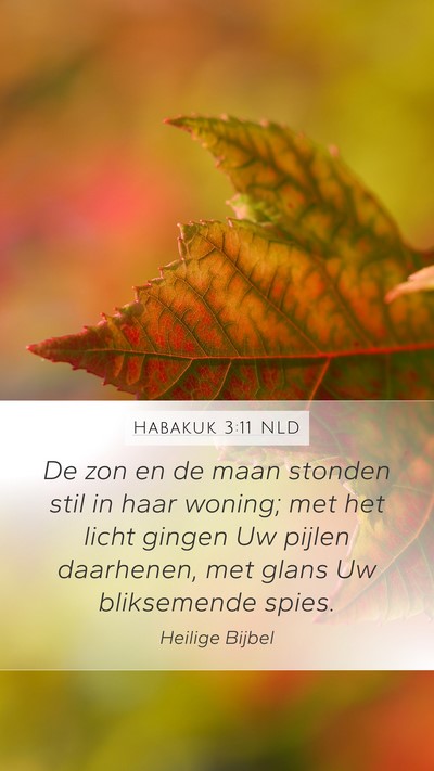 Habakuk 3:11 NLD Bible Verse Image
