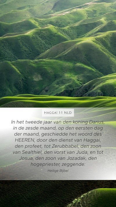 Haggaï 1:1 NLD Bible Verse Image