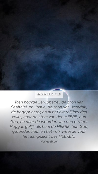 Haggaï 1:12 NLD Bible Verse Image