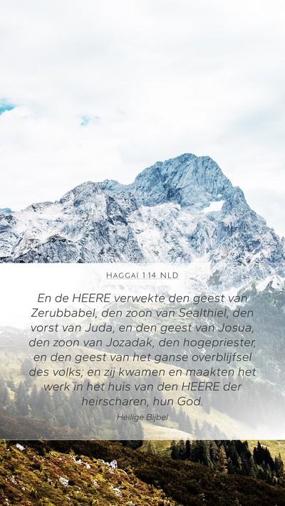 Haggaï 1:14 NLD Bible Verse Image