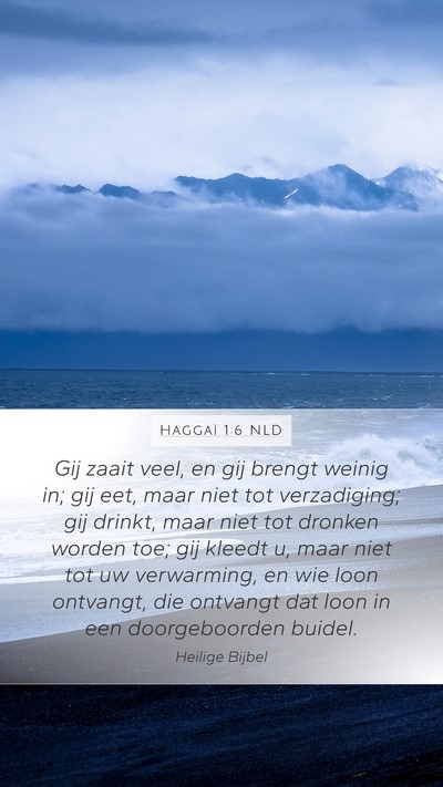 Haggaï 1:6 NLD Bible Verse Image