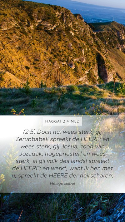 Haggaï 2:4 NLD Bible Verse Image