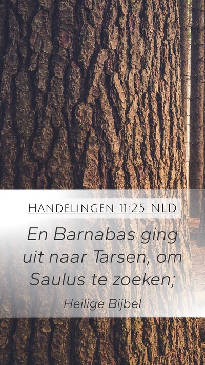Handelingen 11:25 NLD Bible Verse Image