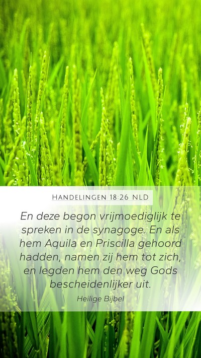 Handelingen 18:26 NLD Bible Verse Image