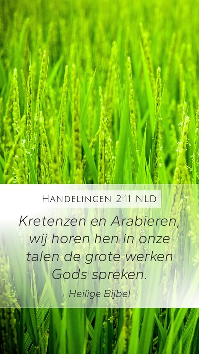 Handelingen 2:11 NLD Bible Verse Image