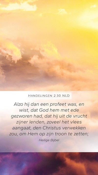 Handelingen 2:30 NLD Bible Verse Image