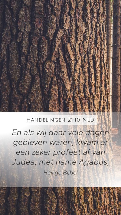 Handelingen 21:10 NLD Bible Verse Image
